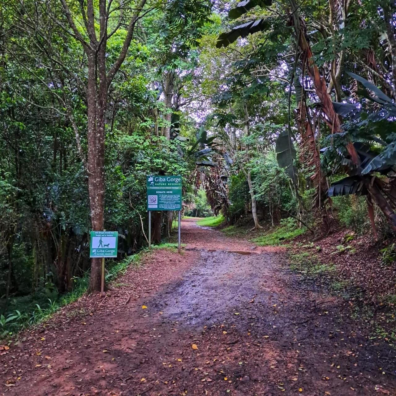 Highview Lodge Gillitts المظهر الخارجي الصورة